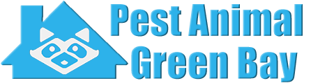 Green Bay Wildlife and Animal Removal
